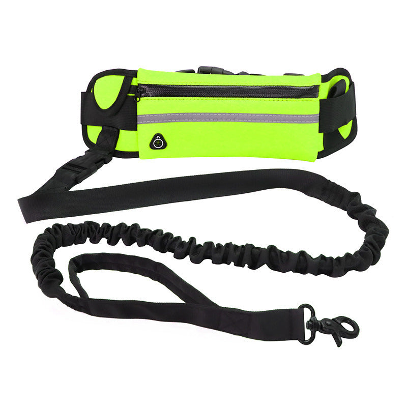 Jog with your Dog : Fantastic Hands-Free Bungee Leash and Belt