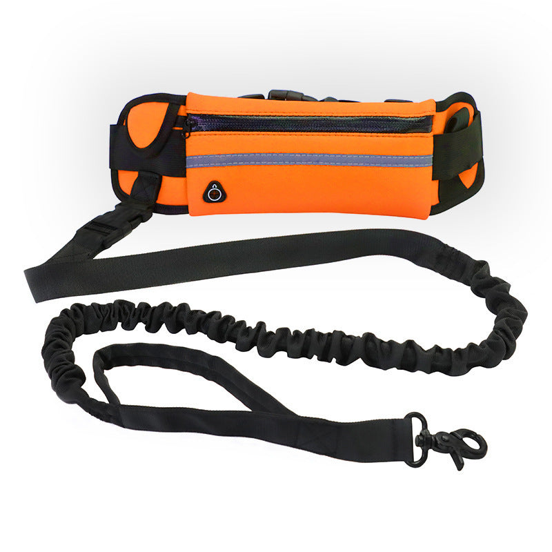 Jog with your Dog : Fantastic Hands-Free Bungee Leash and Belt