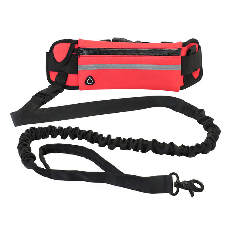 Jog with your Dog : Fantastic Hands-Free Bungee Leash and Belt